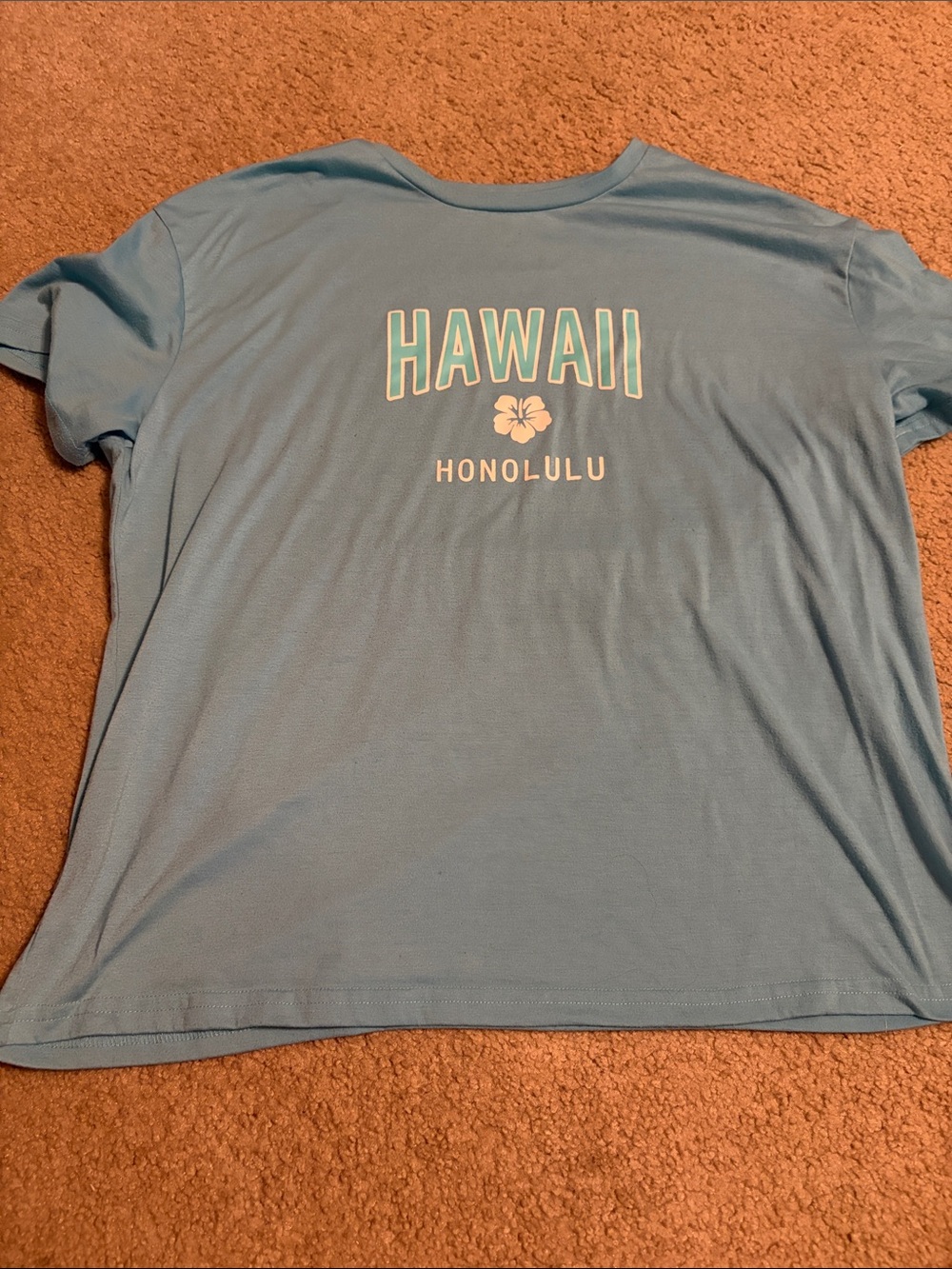 SHEIN Light Blue Hawaii Honolulu Graphic Tee